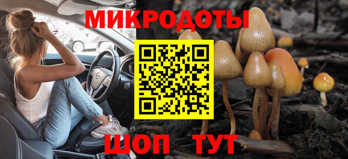 Муравленко  Галлюциногенные грибы MAGIC MUSHROOMS  Вход с VPN 
