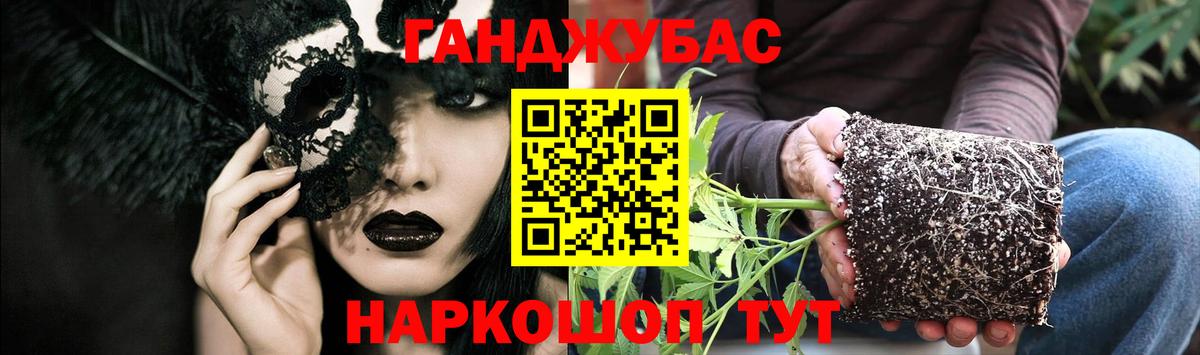 Марихуана план Муравленко